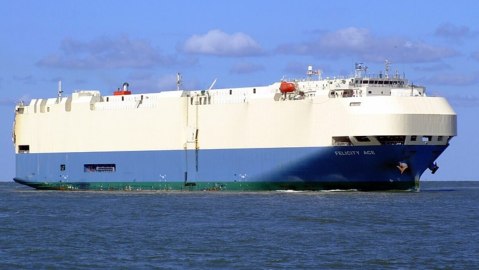 Felicity Ace