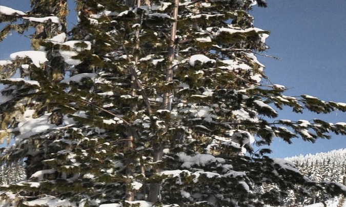 Jeep Grand Cherokee Limited Black