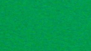 Frente de auto verde