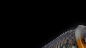 Convertidor catalítico