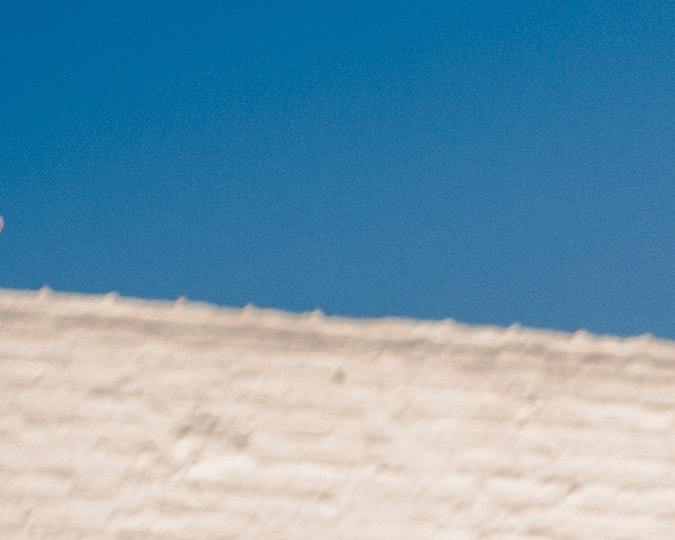 Persona lavando un auto