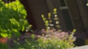 Cubierta de caja de pickup