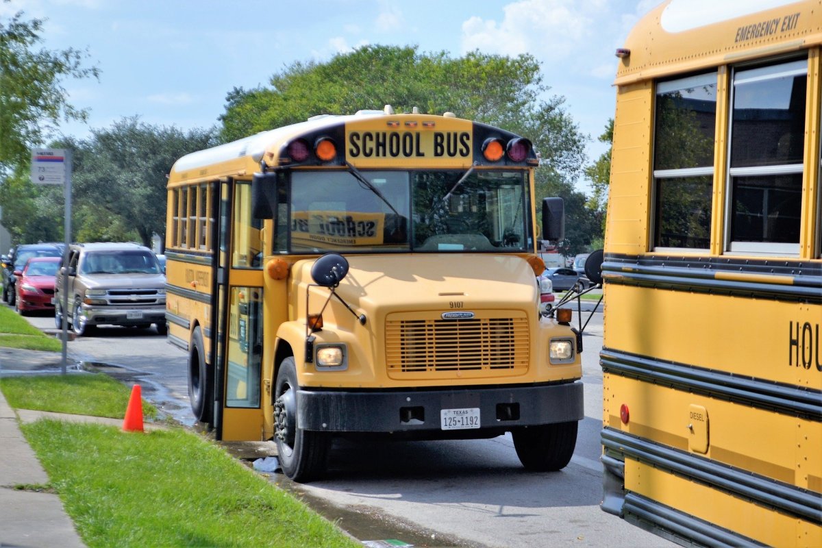Foto de autobuses escolares estacionados