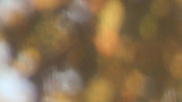 Llenar siempre el depósito de gasolina añade peso al auto, pero también reduce los viajes a la gasolinera.