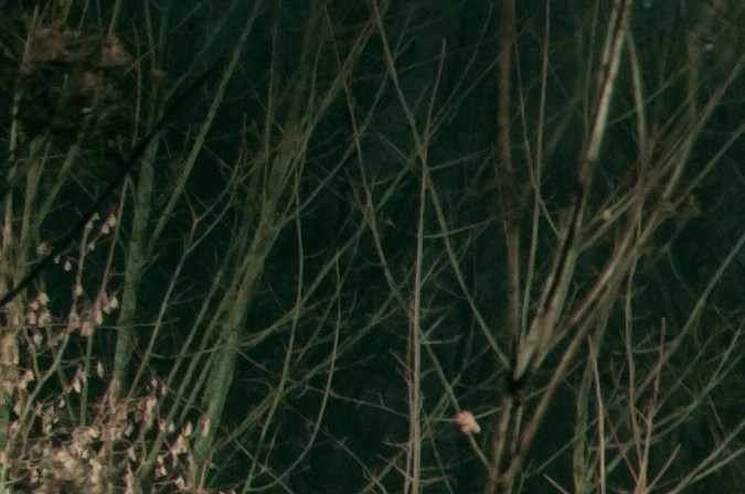 Cómo tomar posesión de un automóvil abandonado que no es tuyo