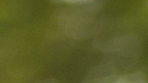 problemas por prestar un auto