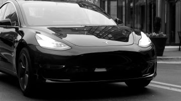 Tesla en blanco y negro