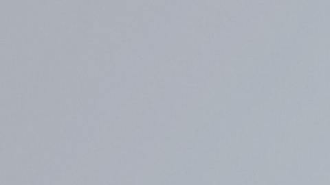 Gaviota sobre señalamiento.