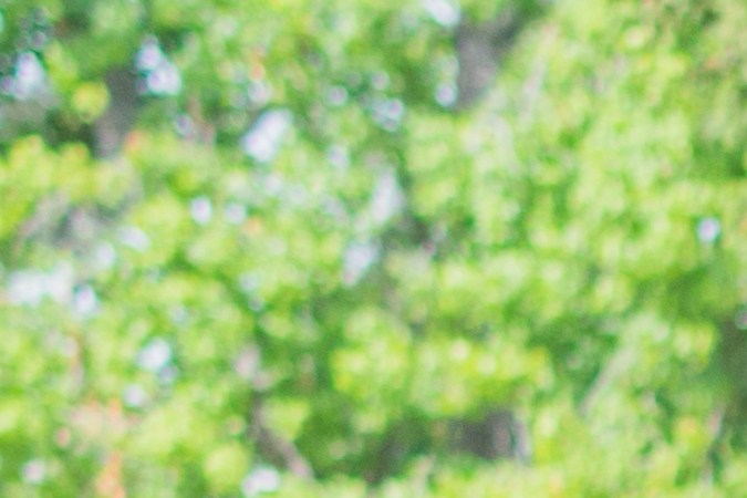 Chevrolet Chevelle Z16