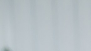 Inspección de auto