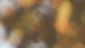 Poniendo gasolina en auto.