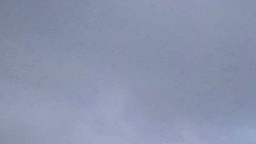 Tren que usa biodiésel