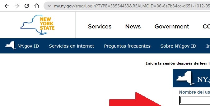 como chequear mi licencia de conducir en ny