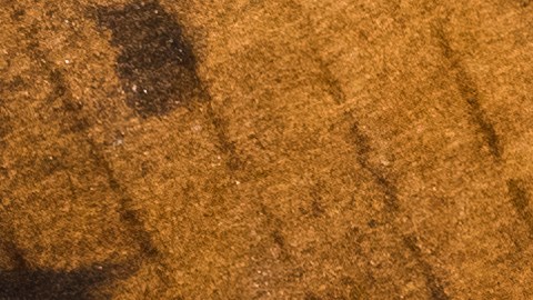 Filtros de aceite de motor
