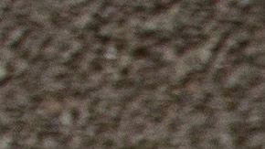 Aprende a limpiar los asientos de tu auto con solo dos ingredientes