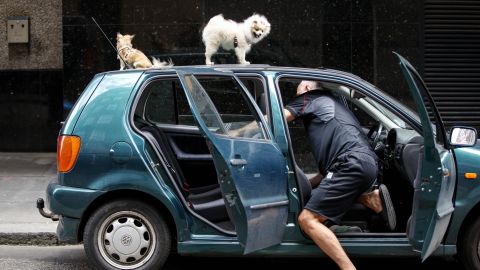 Aprende a limpiar los asientos de tu auto con solo dos ingredientes