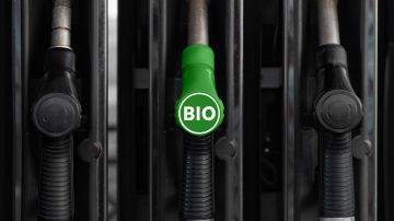 Combustible biodiesel