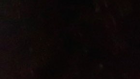 Ford semáforo vehículos