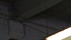 Los 5 artículos que siempre debes traer en tu auto