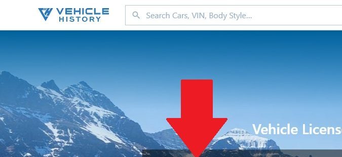 Captura de la página principal de Vehicle History para consultar matrículas de vehículos.