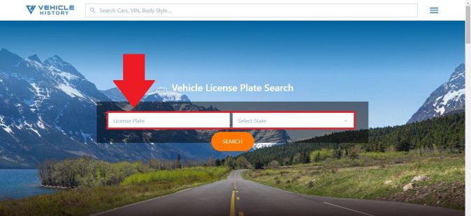 Captura de la página principal de Vehicle History para consultar matrículas de vehículos.