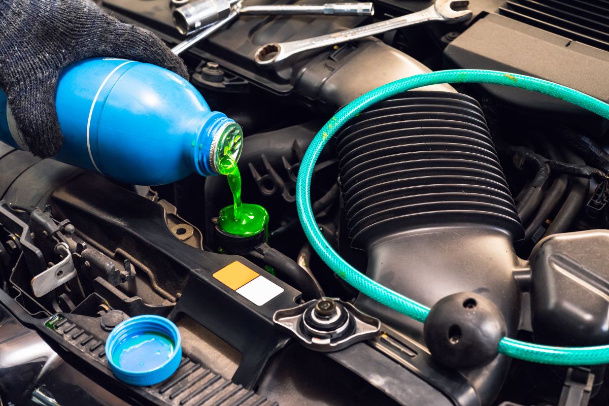 5 of the best antifreeze for summer 2022 in the United States