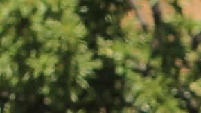 Estados Unidos, el tercer país del mundo más peligroso para conducir