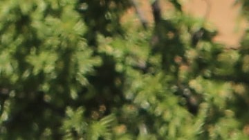 Estados Unidos, el tercer país del mundo más peligroso para conducir