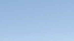 Los modelos de Tesla no requieren de mantenimiento frecuente