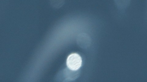Amaxofobia