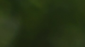 Foto de un conductor entregando su licencia de conducir a un policía