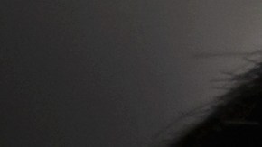 Foto de un policía con un conductor