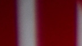 Foto de una persona colocando el sticker de registro en una placa de matrícula