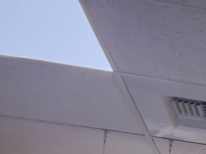 cambiar la dirección en mi licencia de conducir en Nueva York