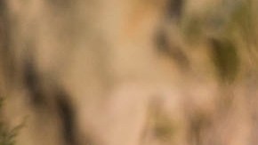 Nissan Pathfinder 2017