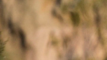 Nissan Pathfinder 2017