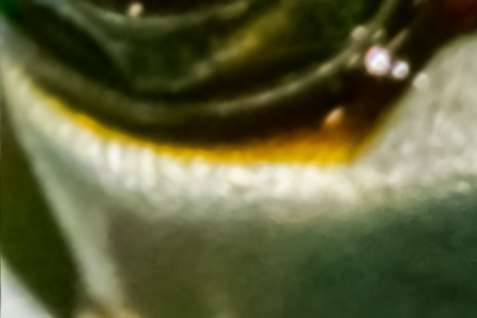 esquema partes del diferencial