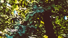 Auto con peso extra.