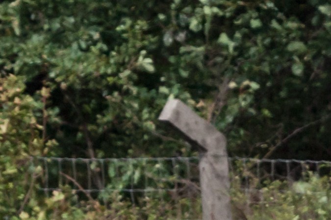 Camioneta con camper.