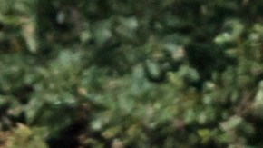 Camioneta con camper.