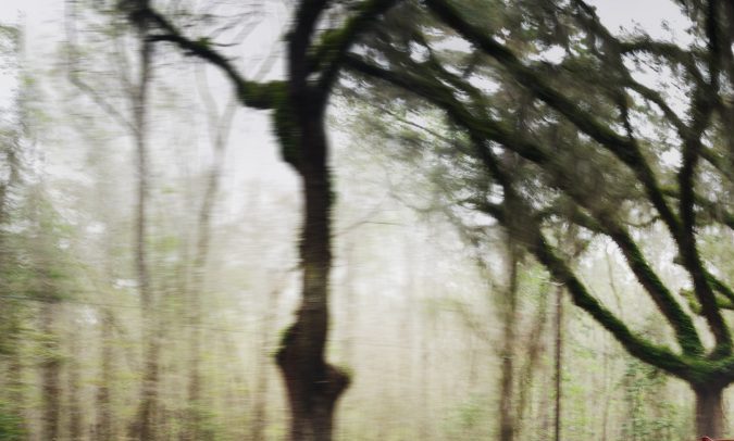 Toyota Corolla Hybrid 2023