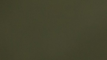 Foto de la mano de una persona mientras llena un formulario