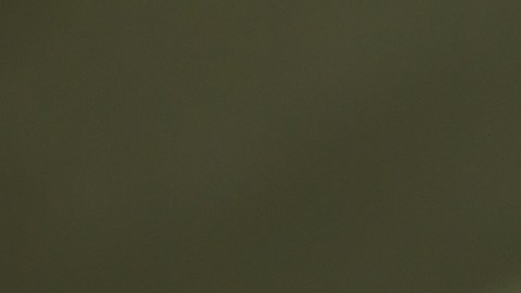Foto de la mano de una persona completando un formulario