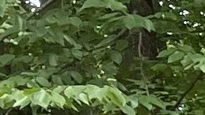 A la izquierda, el Land Rover Defender 110 V8. A la derecha, el último Jaguar F-Type convertible.