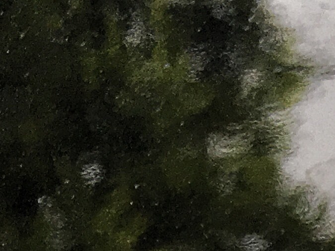 Cómo remover las manchas de agua de la pintura de tu auto