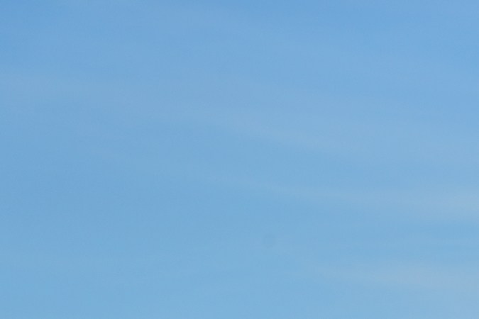 Nuevo Land Cruiser 2025