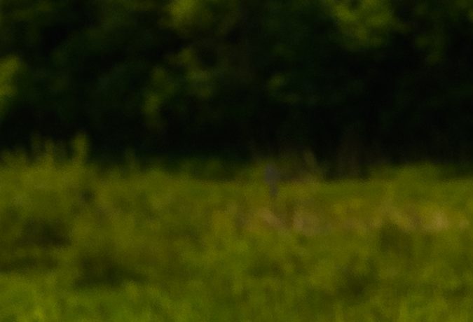 F-150 Lightning Pro SSV 2023