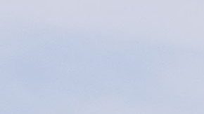 Ford F-150 Raptor R 2023