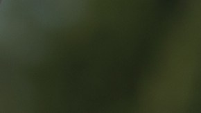 Auto usado para adolescente.