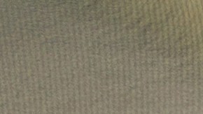 Conductor de auto.ñ